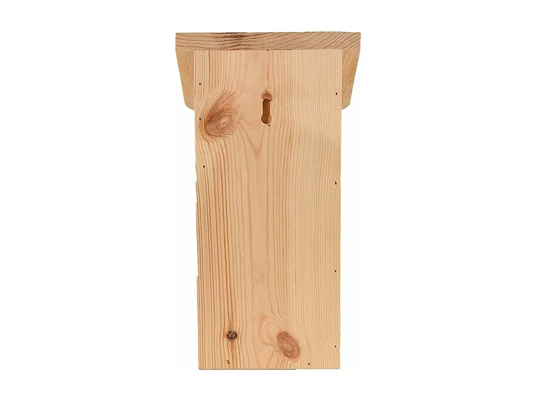 Nichoir pour mésange bleue en pin pochoir