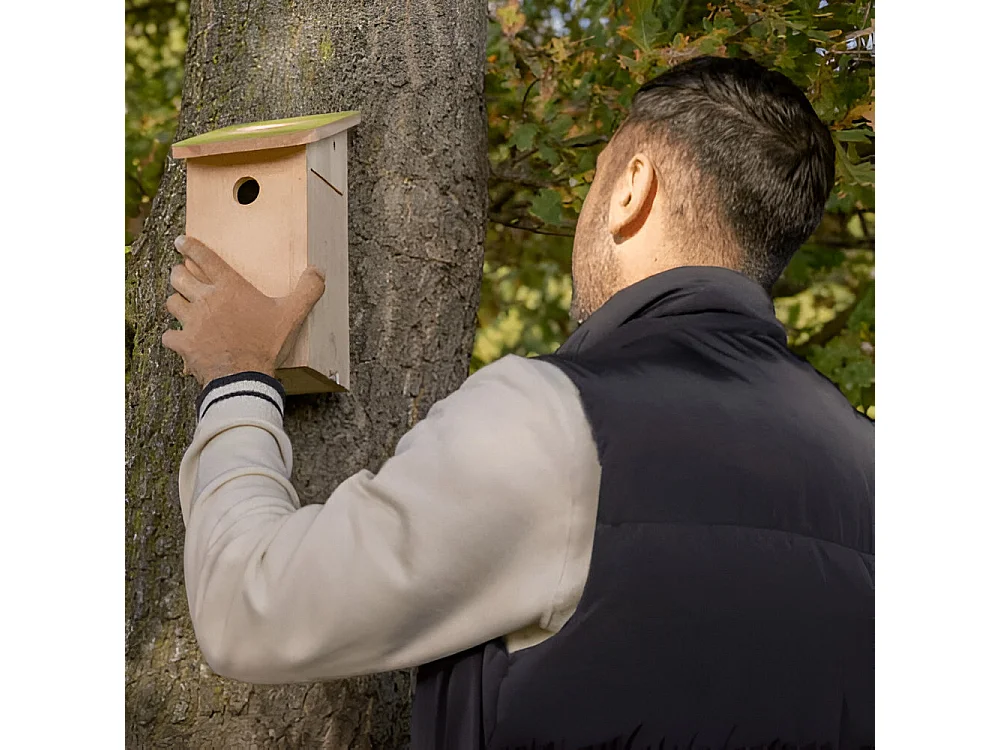 Nichoir pour mésange bleue en pin pochoir