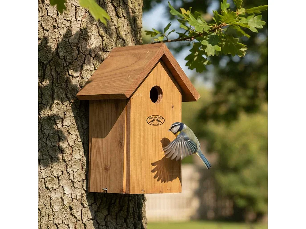 Nichoir à mésange en bois de Douglas