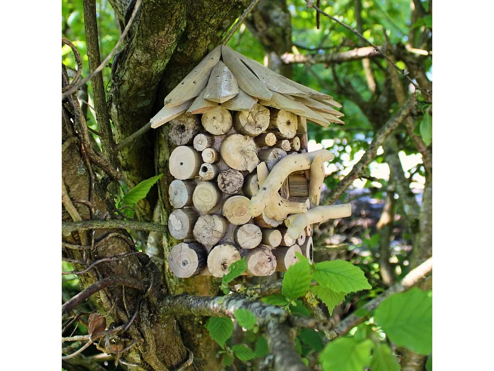 Nichoir demi-rond en bois d'albésia à accorcher