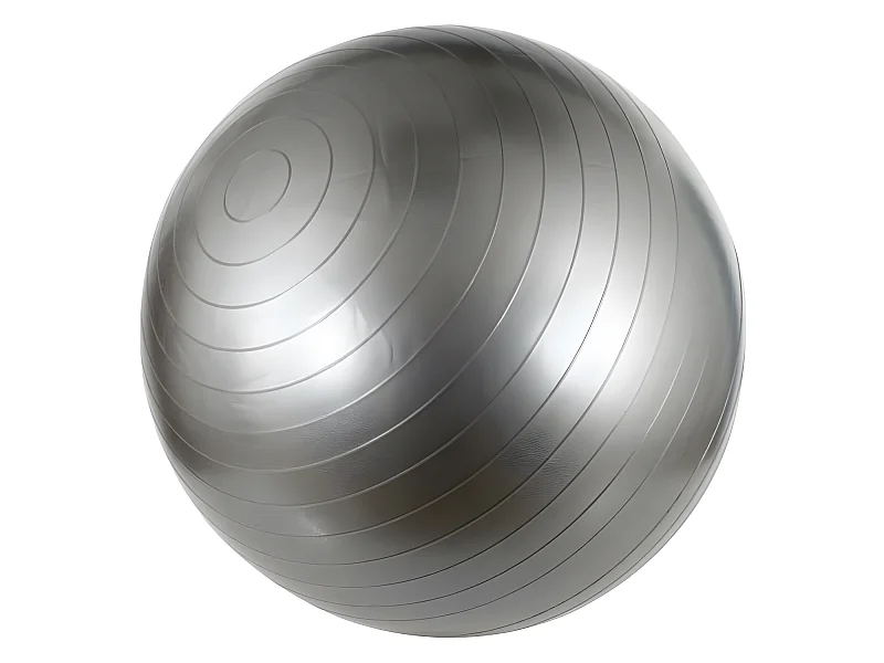 Swiss ball L - 75 cm - Gris