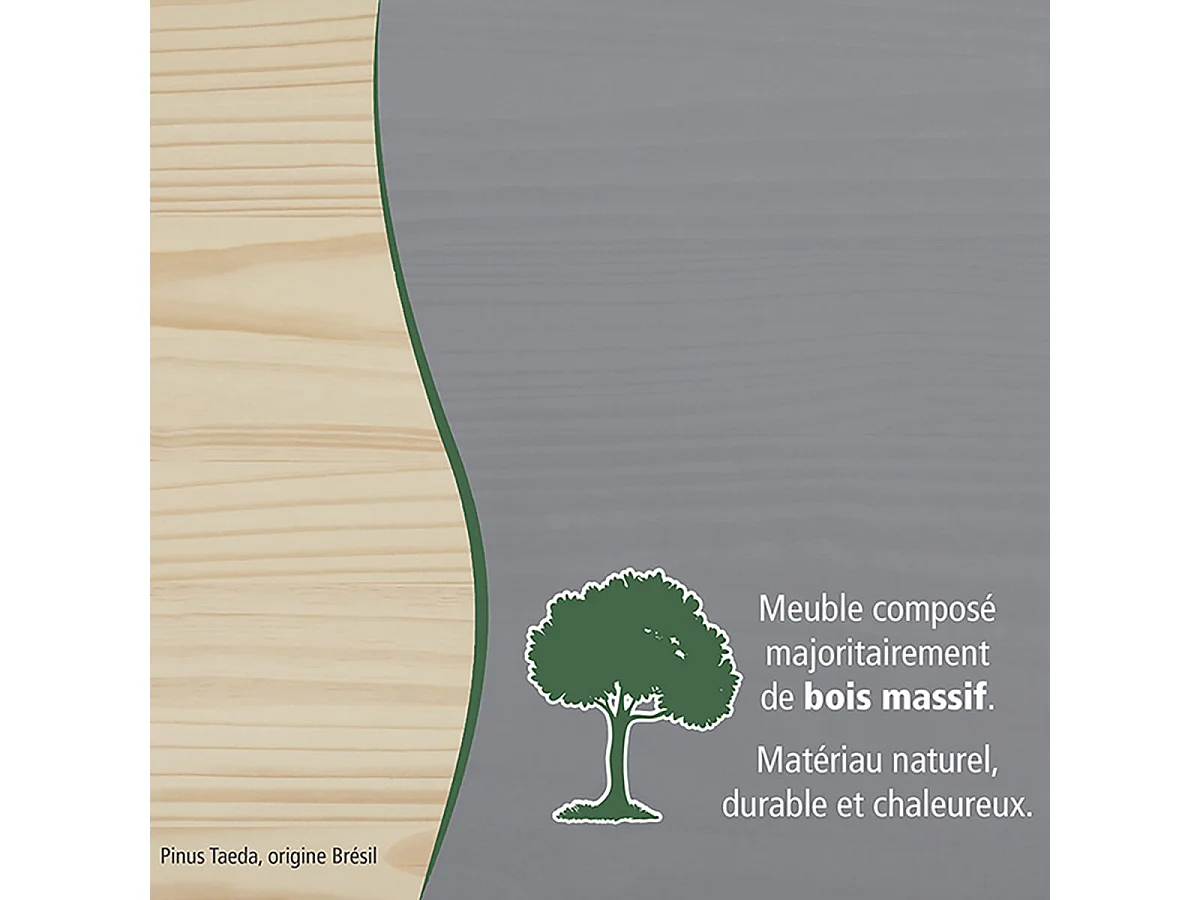 MELINA - Buffet 2 Portes 2 Tiroirs Coloris Gris