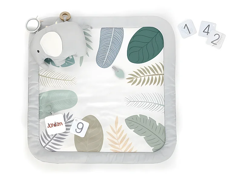 Tapis d'éveil INGENUITY Sprout Spot - Evolutif - 12 cartes évolutives - 7.62 x 102 x 102 cm - Multicolore - Des la naissance