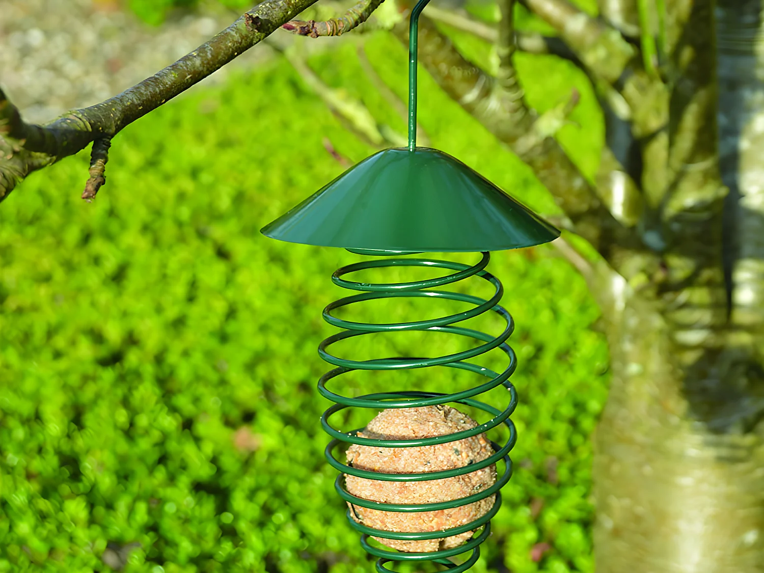 Vogelspirale mit Dach