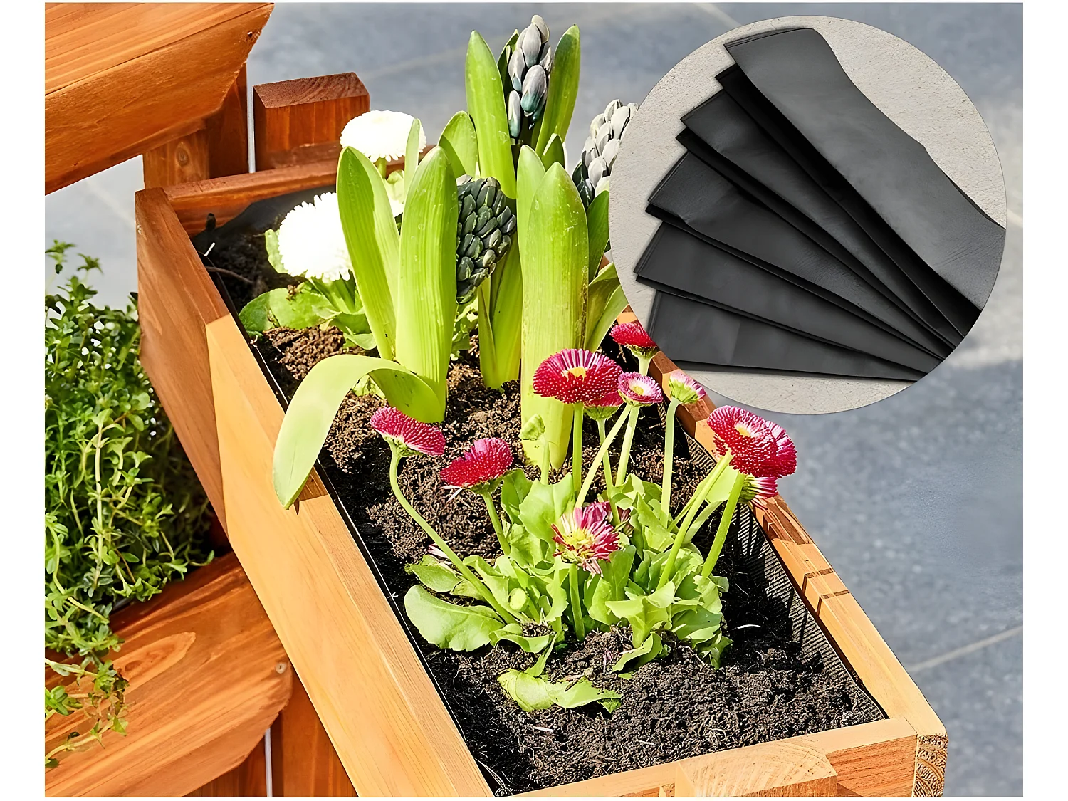 Carré potager sur pied en bois de pin massif avec 5 bacs stable modulable et toison intérieure modèle "514 vernis"