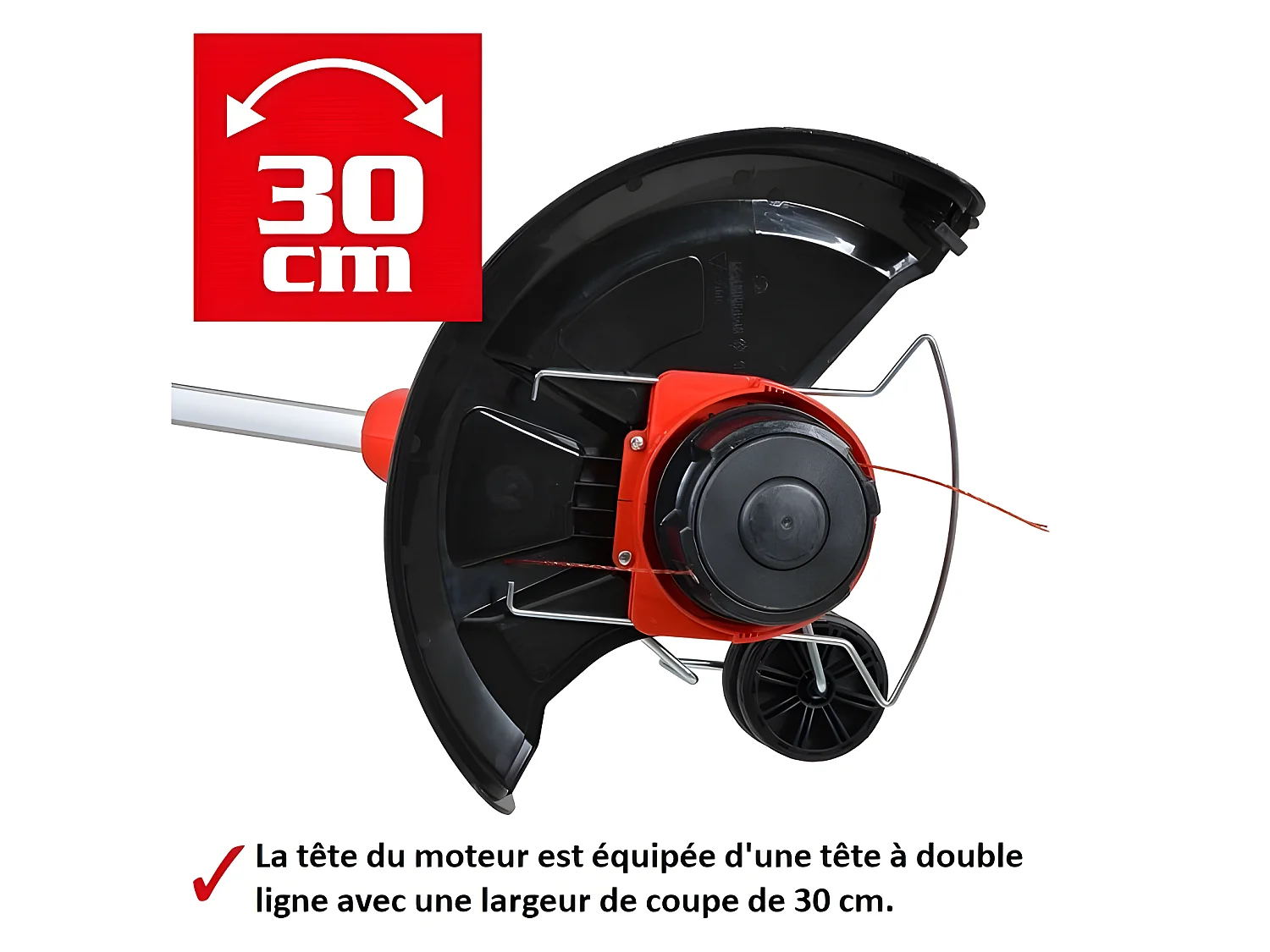 Hecht 630 Coupe herbe Coupe bordure électrique léger 600W 10 300tr/min