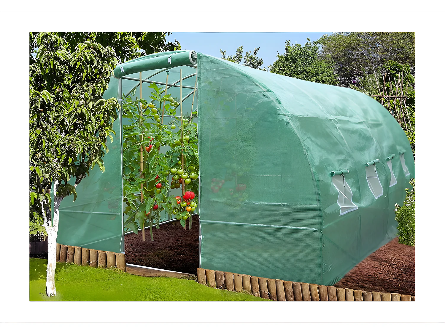 Serre tunnel de jardin 3x6m en aluminium stable Serre avec ancrage au sol Porte et fenêtres enroulables pour jardin