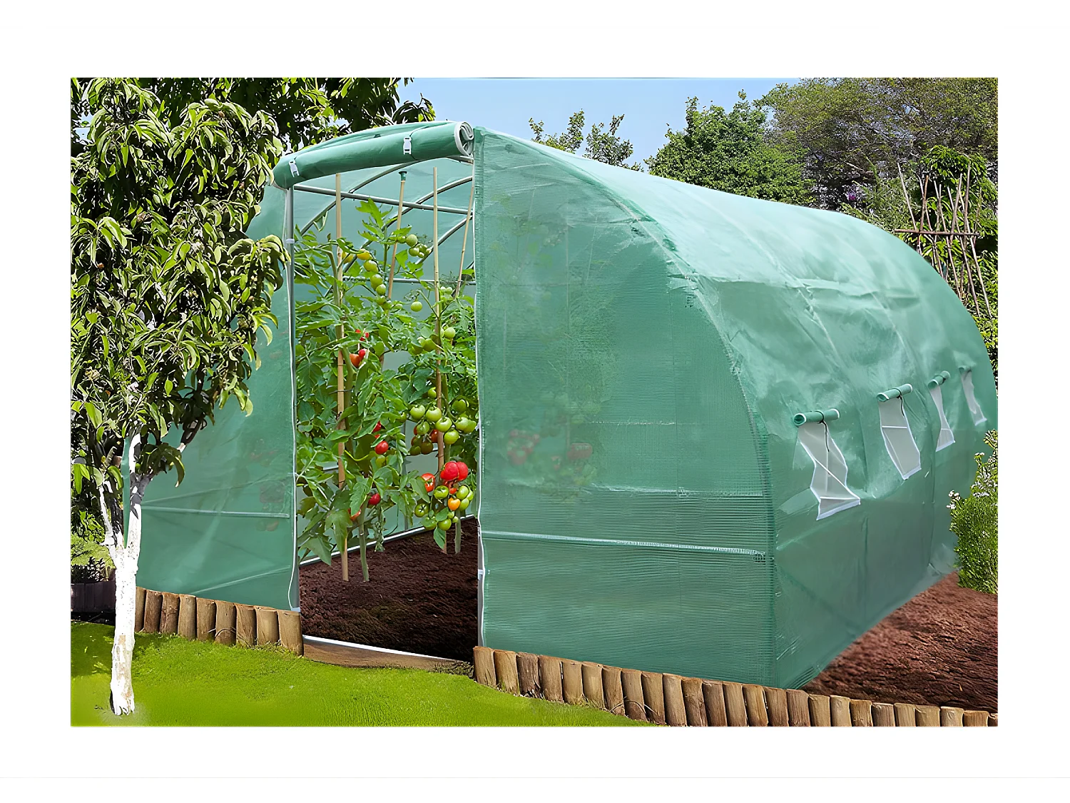 Serre tunnel de jardin 2x3m en aluminium stable Serre ancrage au sol avec porte et fenêtres enroulables pour jardin