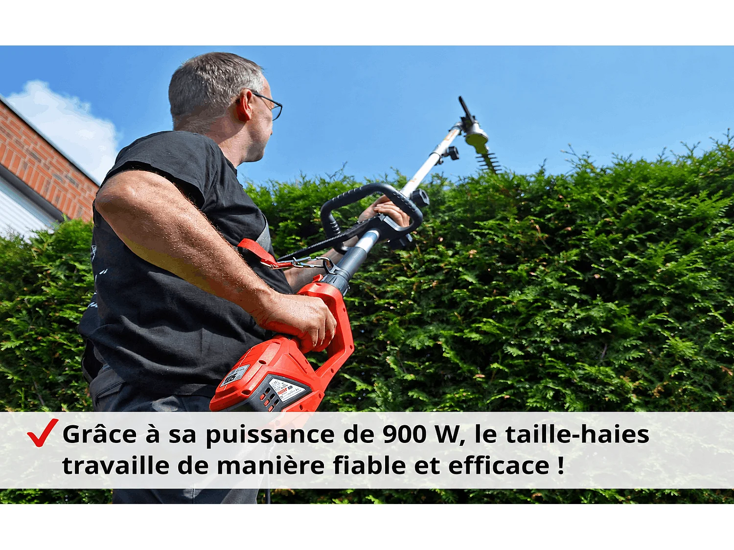 Hecht jardin 695 Taille haies telescopique electrique 900W pour arbustes et buissons