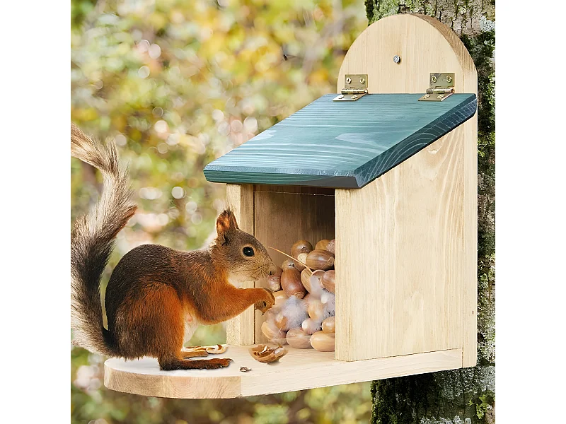 Mangeoire Écureuil Distributeur de nourriture éxtérieur robuste en bois massif et vitre plexiglas de haute qualité"328 Écu"