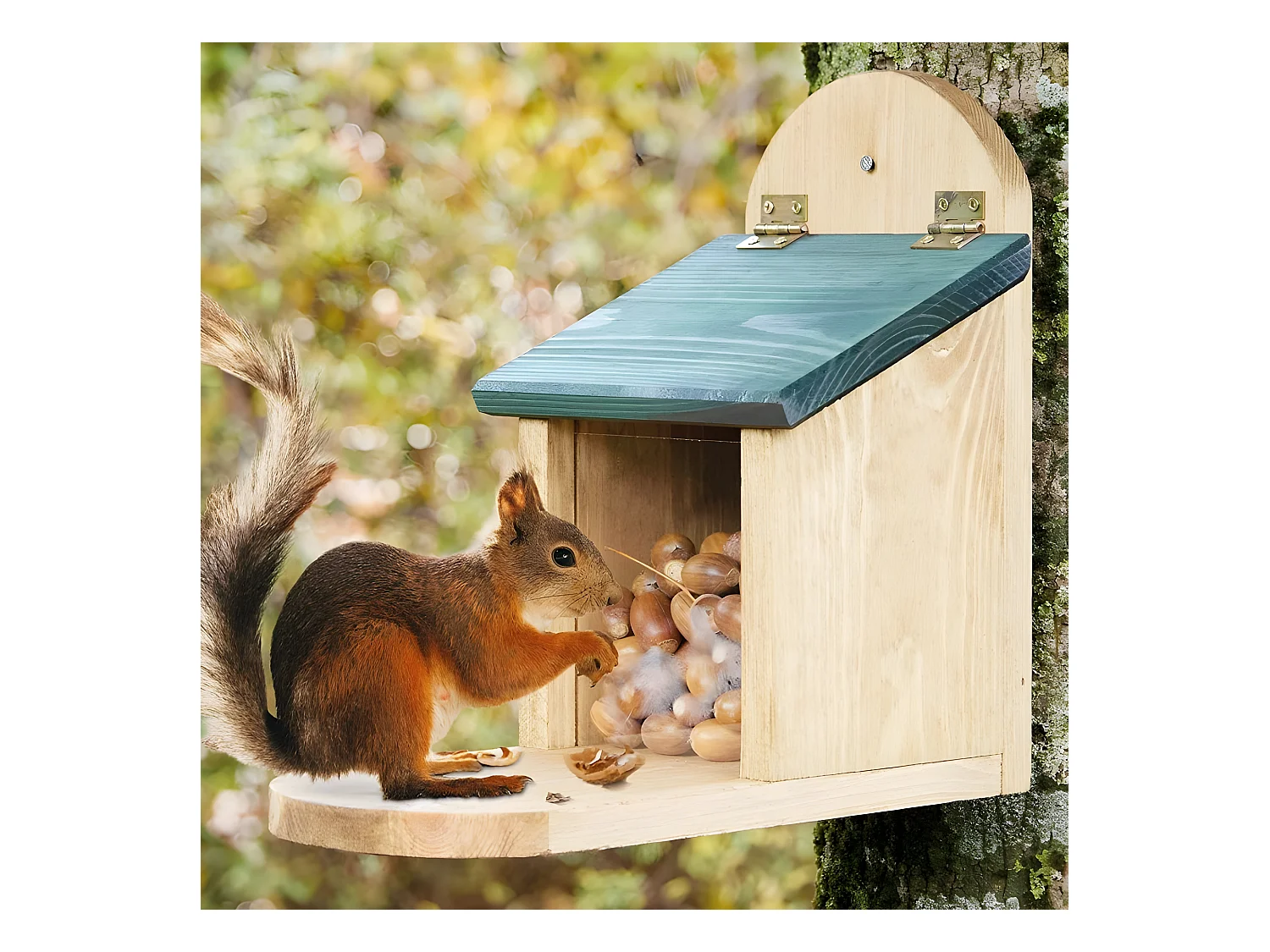 Mangeoire Écureuil Distributeur de nourriture éxtérieur robuste en bois massif et vitre plexiglas de haute qualité"328 Écu"