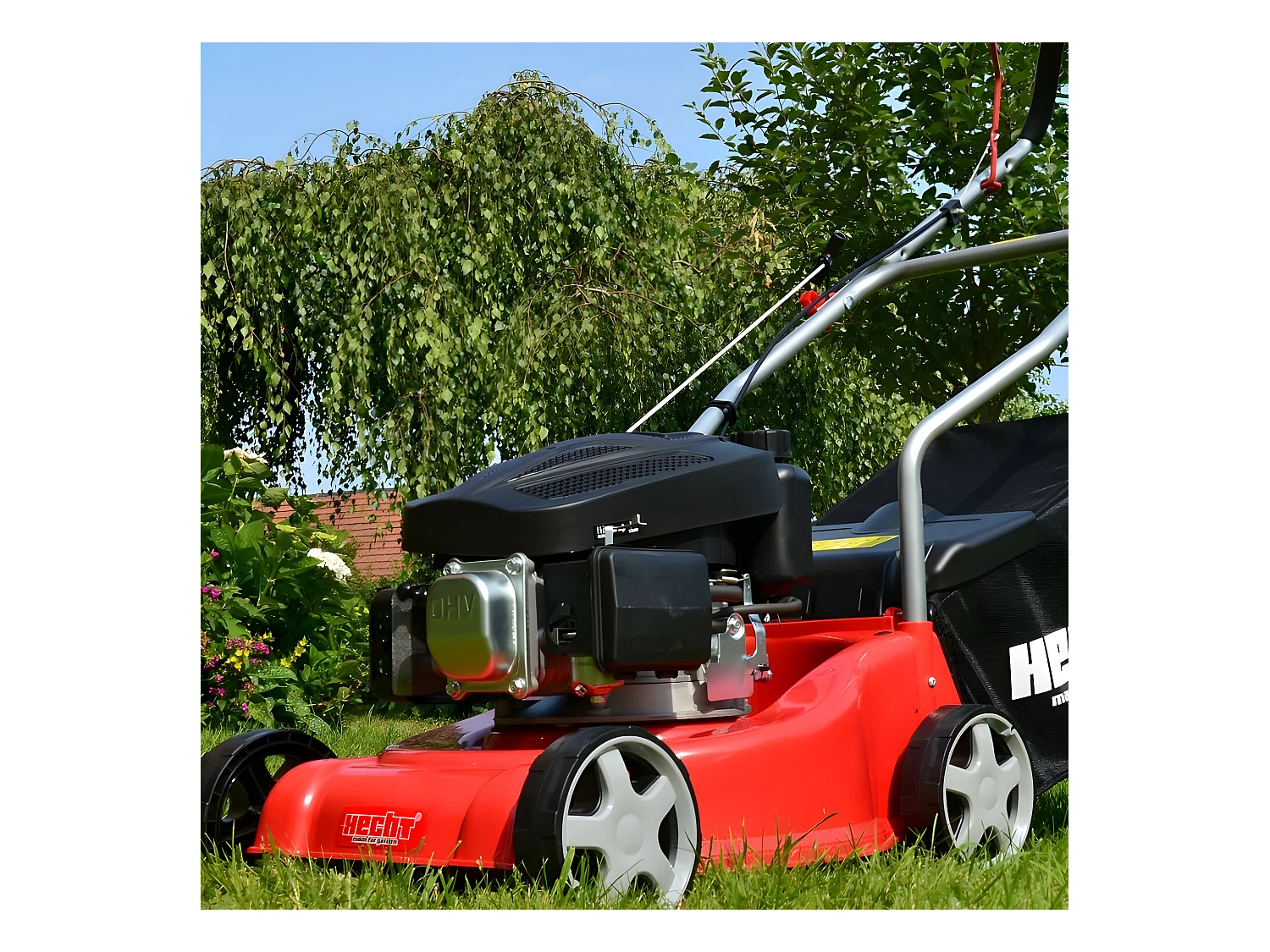 Hecht jardin 5406 Tondeuse à gazon essence 40 cm 3 positions 25-55 Bac 40 l BB LOISIR