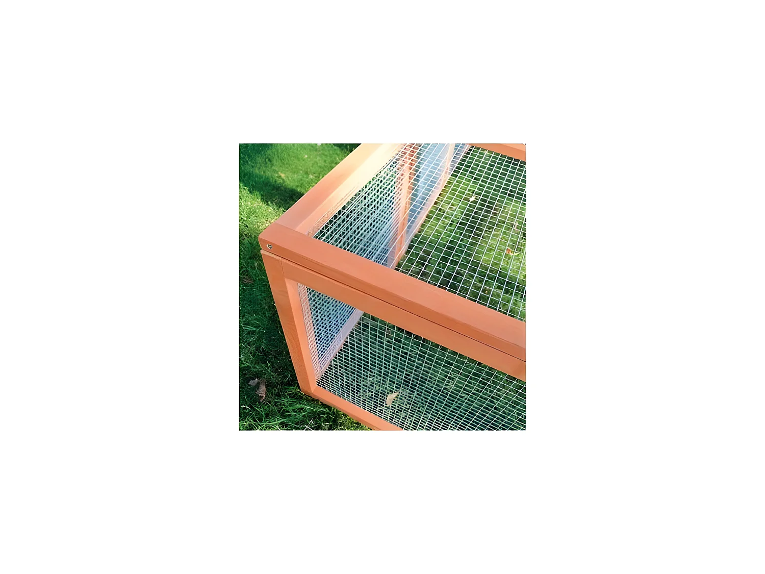 Clapier lapins Rabbit Run 2023 exterieur- Cage Mobile -Couleur Bois