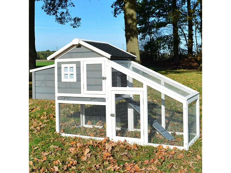 Poulailler Exterieur en bois avec toit pliant 175x66x101 cm Modele- Dottie 151 Taille L