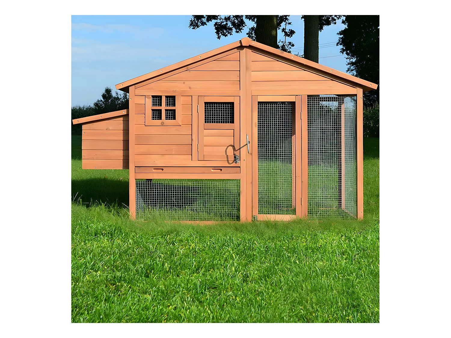 Poulailler de luxe en bois pour jardin exterieur 2-5 poules Cage Canard 2 perchoir Nichoir 190 x 67 x 117 cm