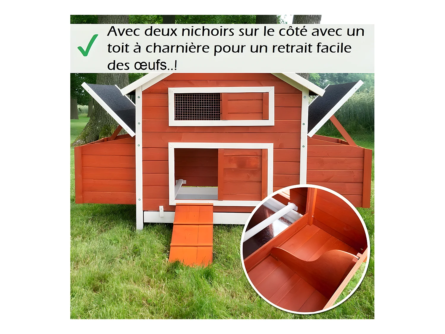 Poulailler en bois pour jardin extérieure Cage Canard avec Nichoir Modèle: 158 Betty rouge 171 x 90 x 113 cm SANS extension