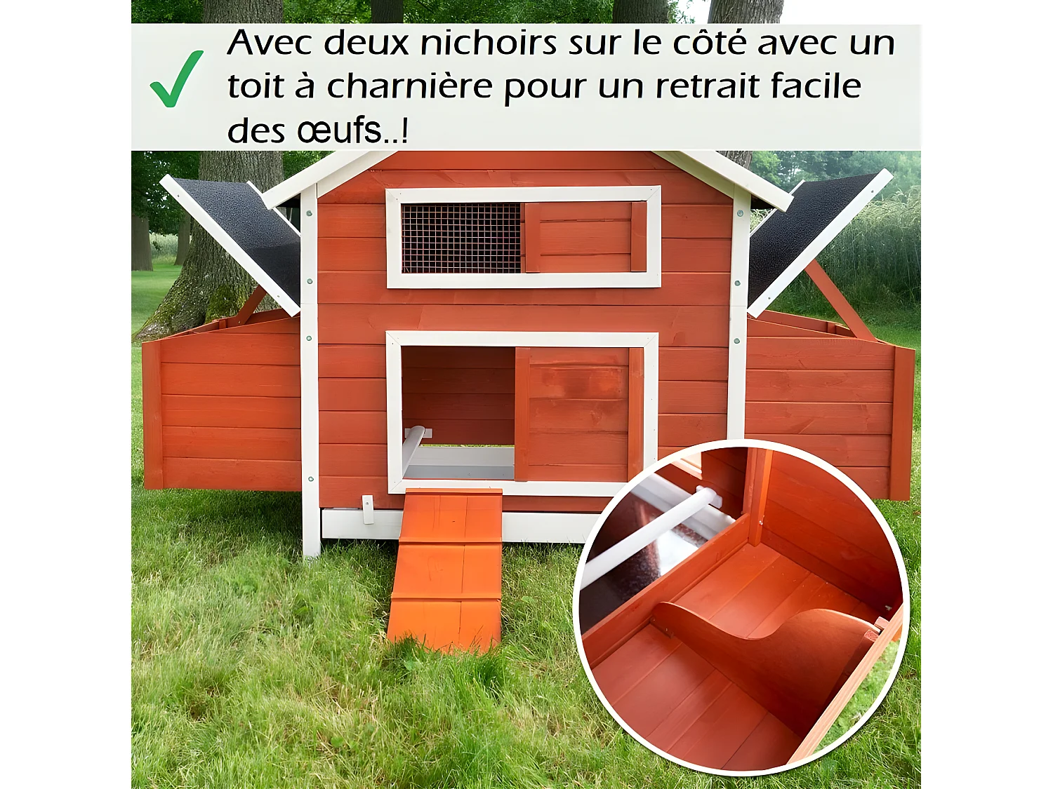 Poulailler en bois pour jardin extérieure Cage Canard avec Nichoir Modèle: 158 Betty rouge 171 x 90 x 113 cm SANS extension
