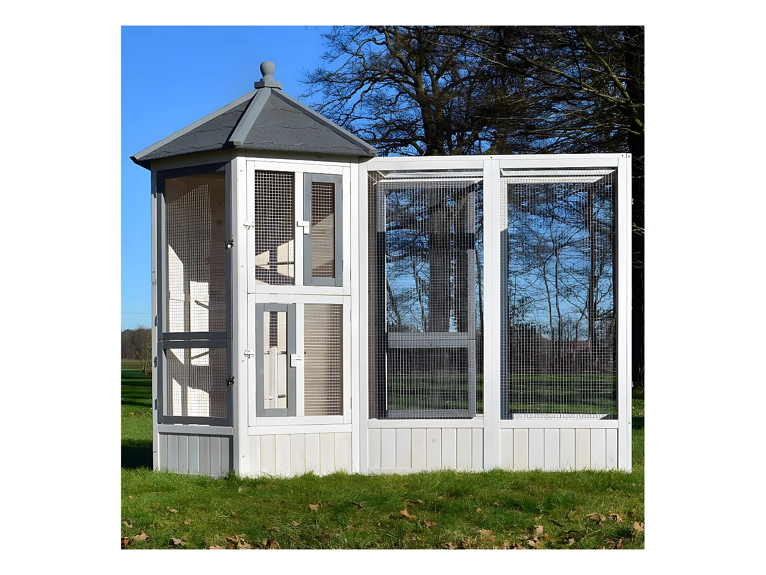 Volière Cage à oiseaux en bois de haute qualité Maison principale + Extension –Modèle ‘’Luise 309+310’’