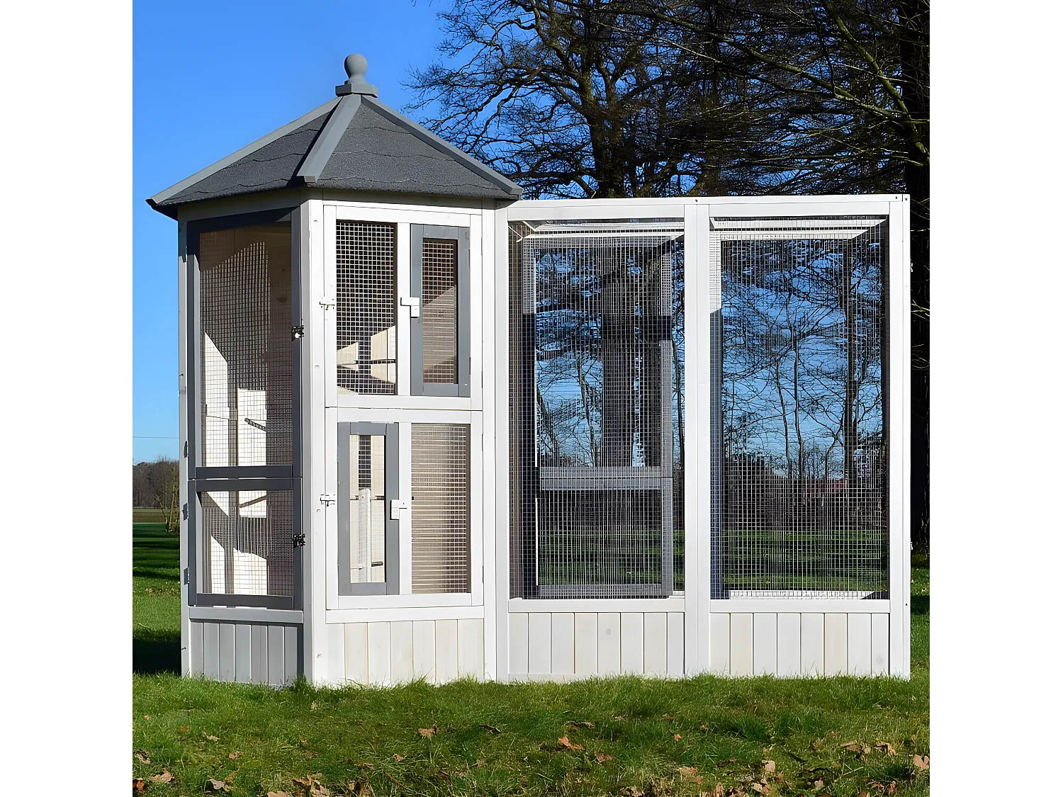 Volière Cage à oiseaux en bois de haute qualité Maison principale + Extension –Modèle ‘’Luise 309+310’’