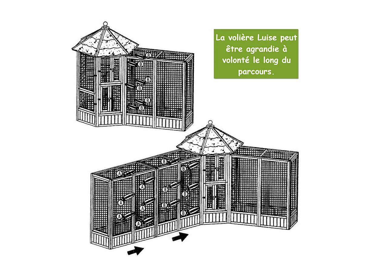 Volière Cage à oiseaux en bois de haute qualité Maison principale + Extension –Modèle ‘’Luise 309+310’’