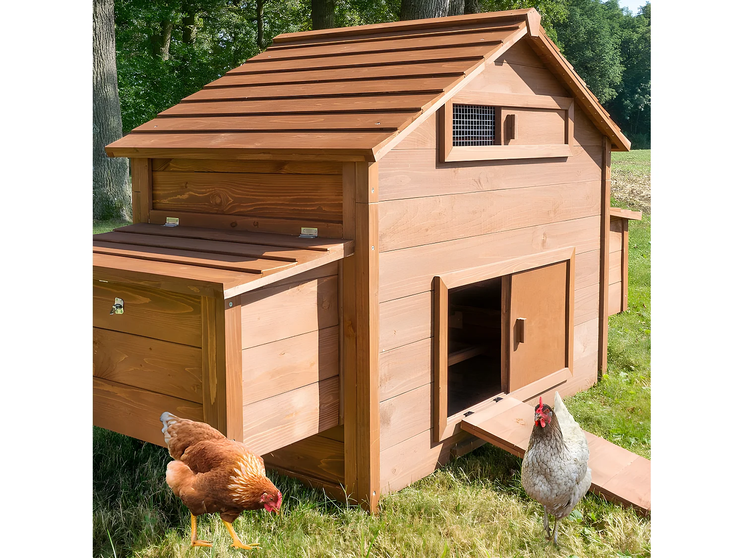 Poulailler en bois  pour jardin extérieure cage canard équipé 2 nichoirs 185 x 84 x 112 cm Modèle 154 Ferme de terrain