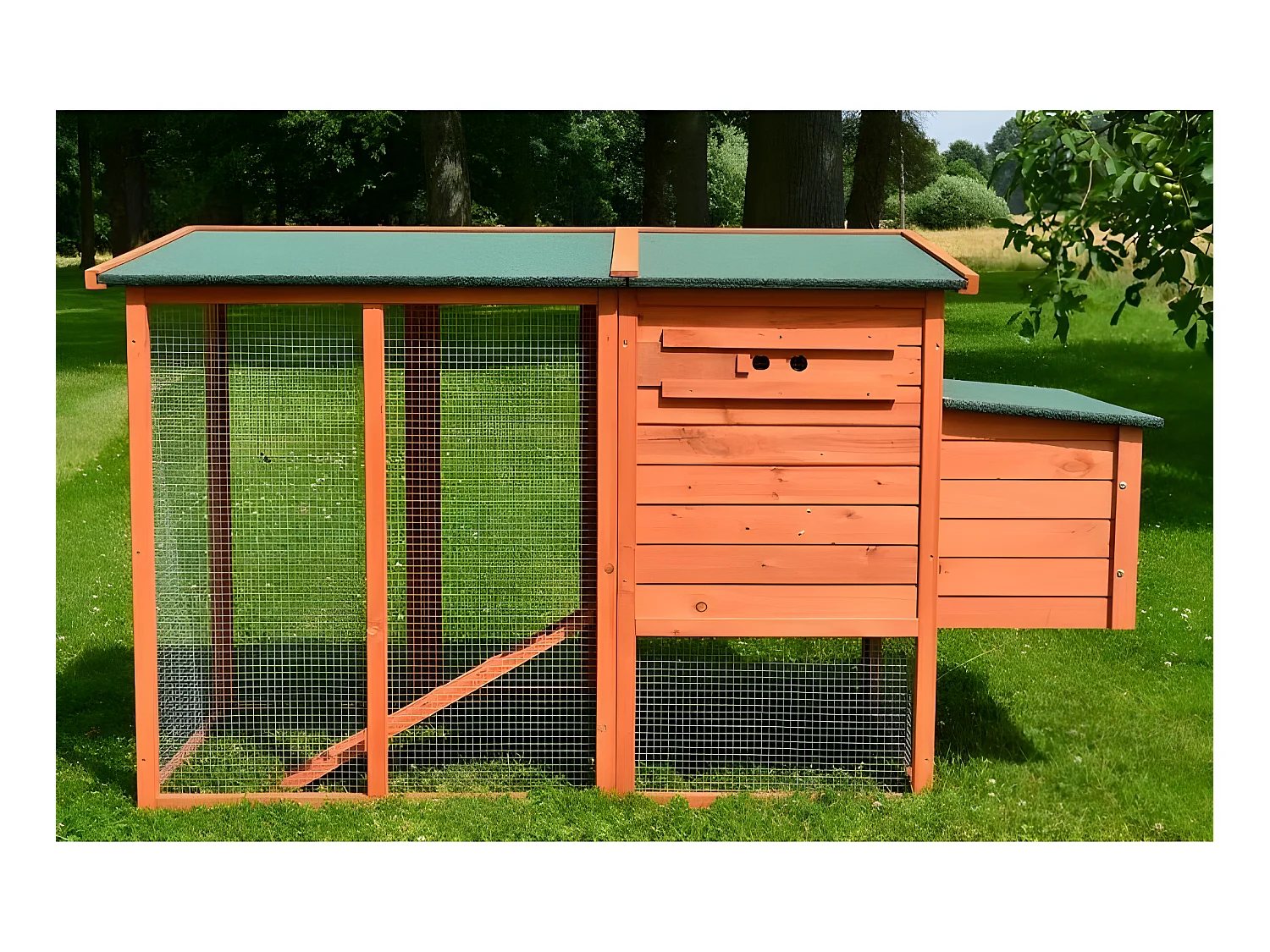 Poulailler 3/6 poules cage canard 2 perchoir 182x75x103 cm Modele 131 XXL