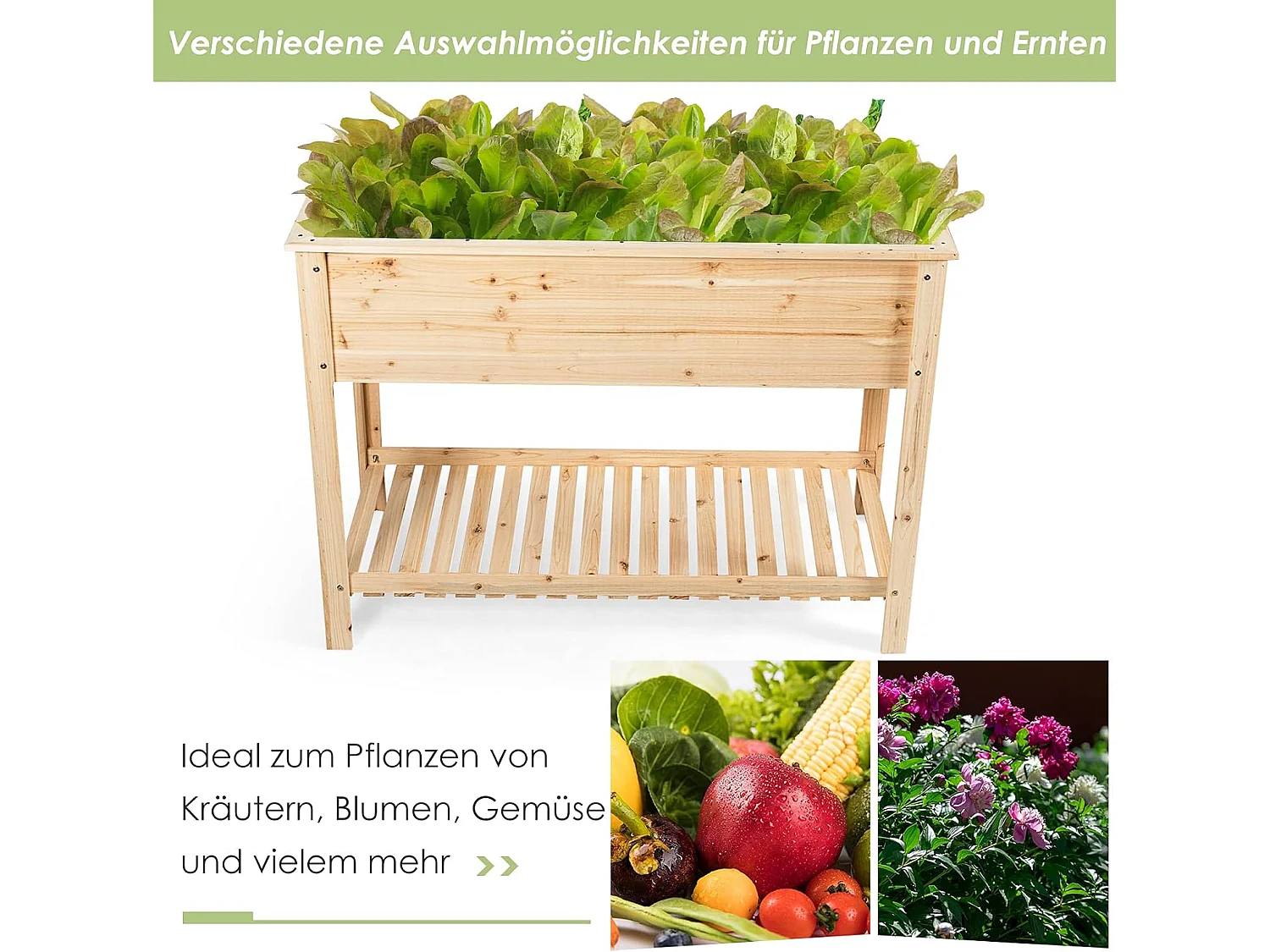 Hochbeet Pflanzkübel Pflanzkasten