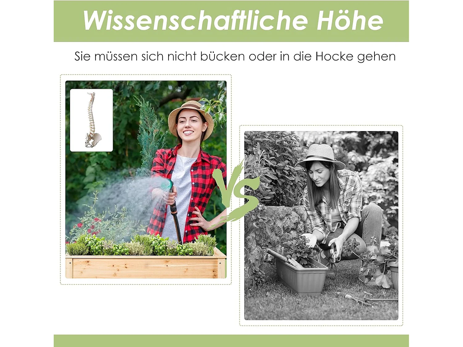 Hochbeet Pflanzkübel Pflanzkasten