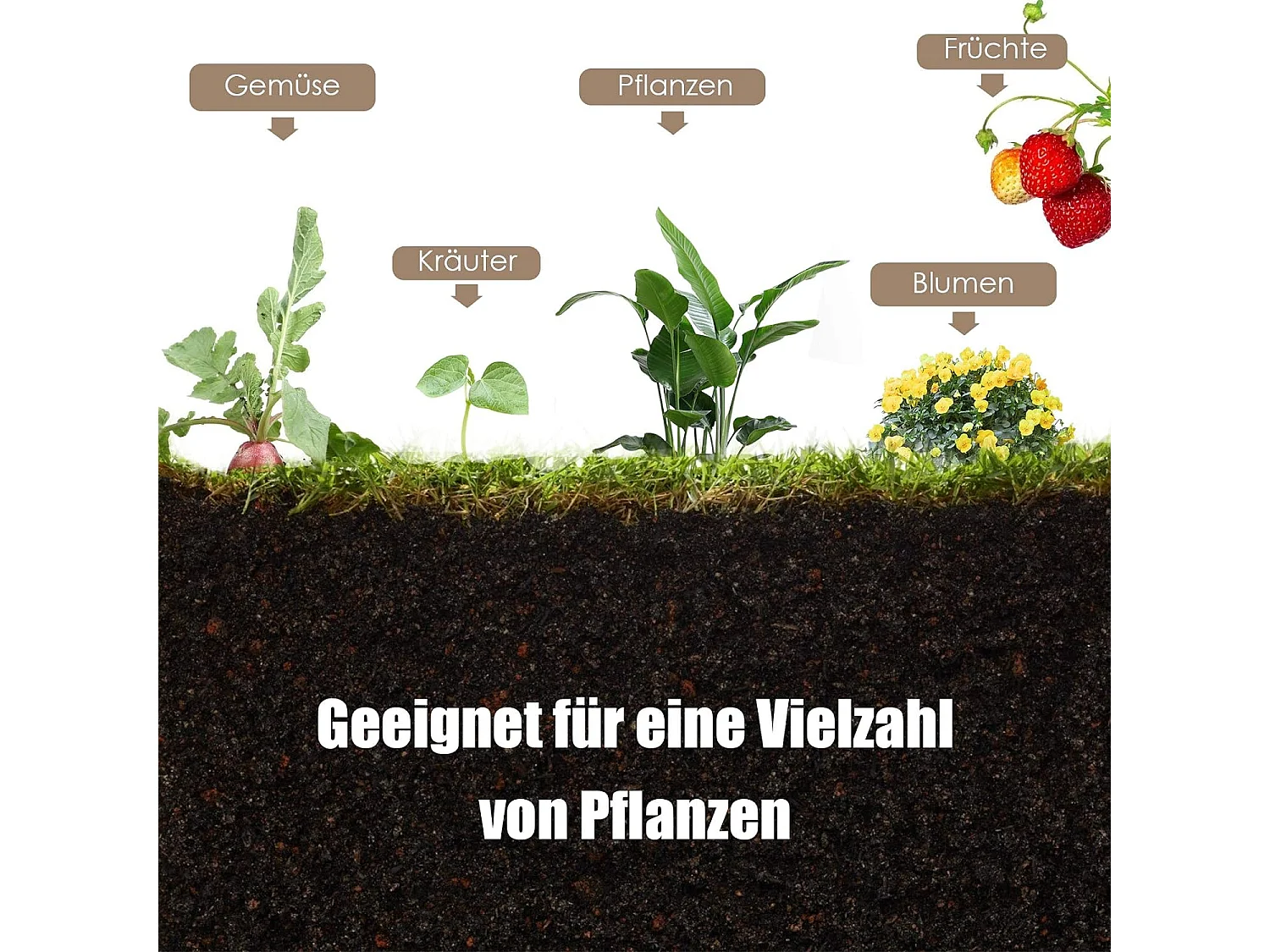 Hochbeet Pflanzbeet Pflanztrog