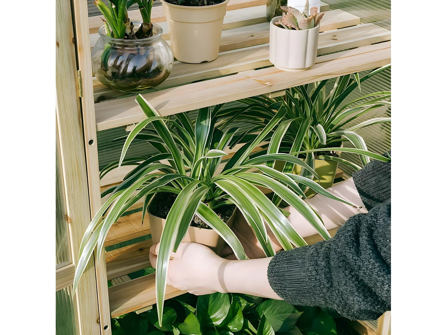 Frühbeet Hochbeet Pflanzkasten