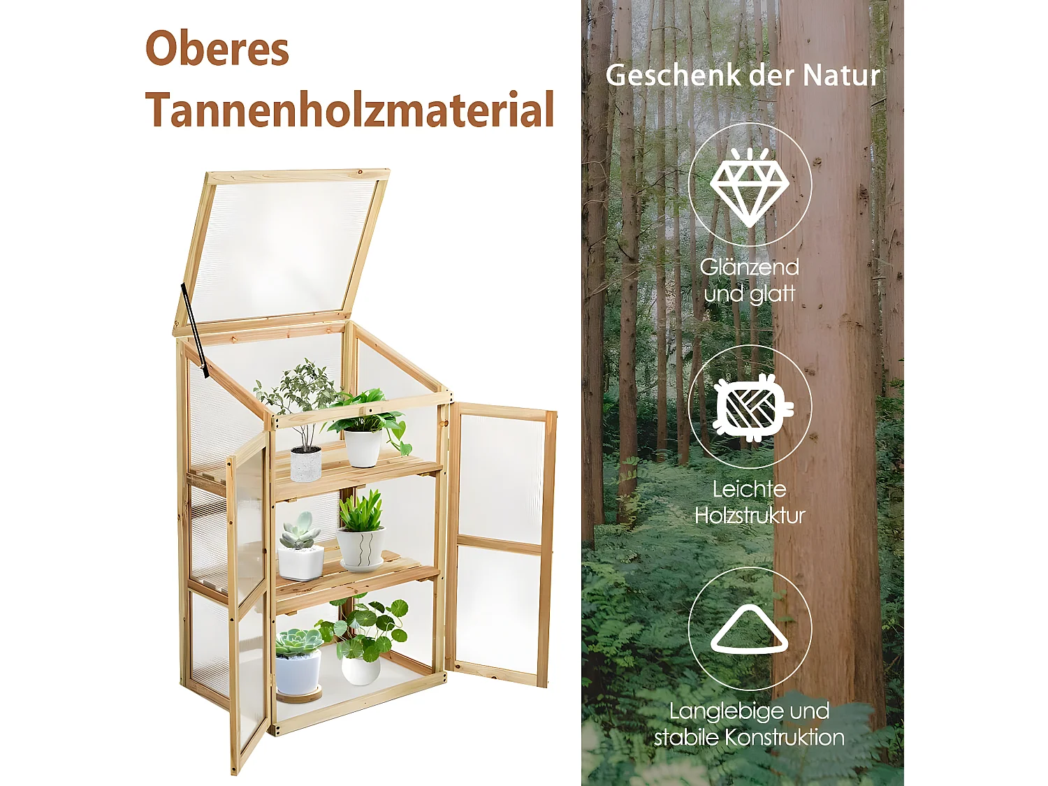 Frühbeet Hochbeet Pflanzkasten