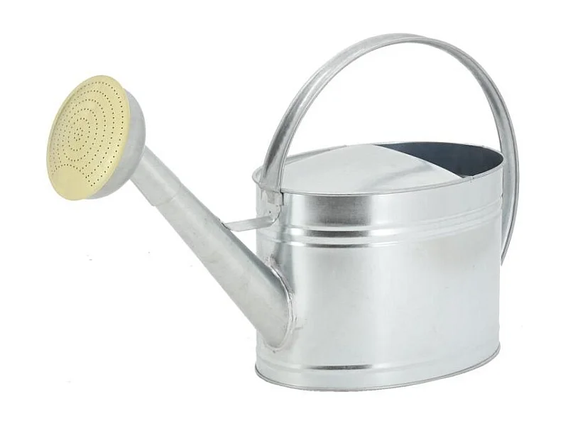 Arrosoir en métal galvanisé 10 L
