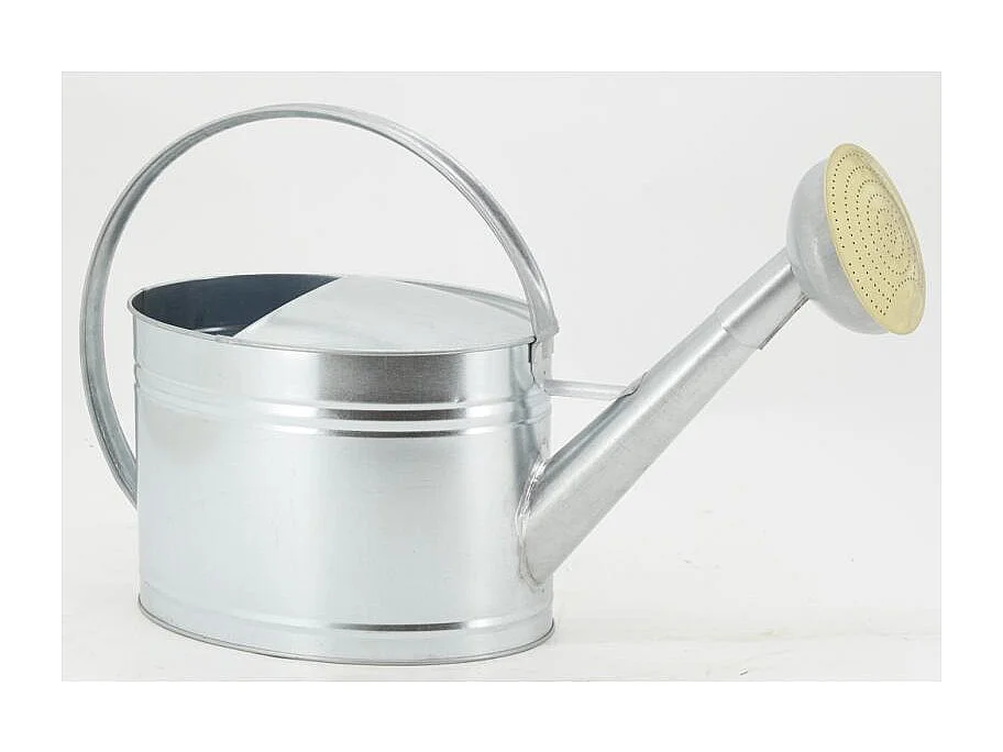 Arrosoir en métal galvanisé 10 L
