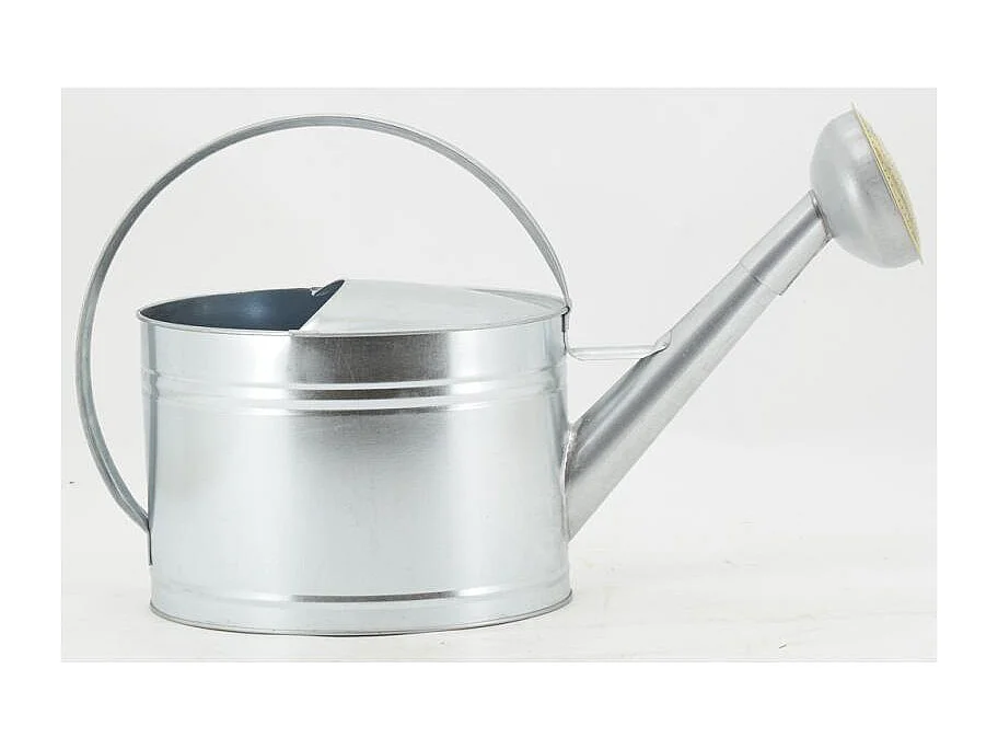 Arrosoir en métal galvanisé 10 L