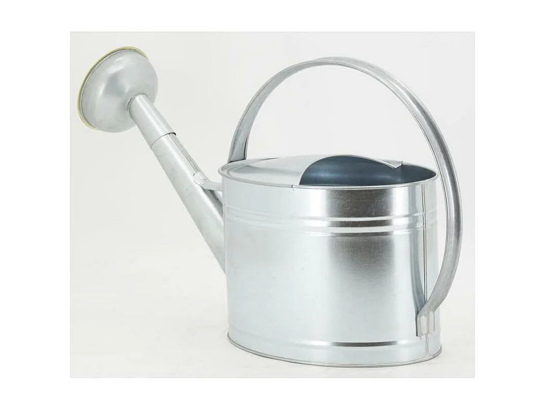 Arrosoir en métal galvanisé 10 L