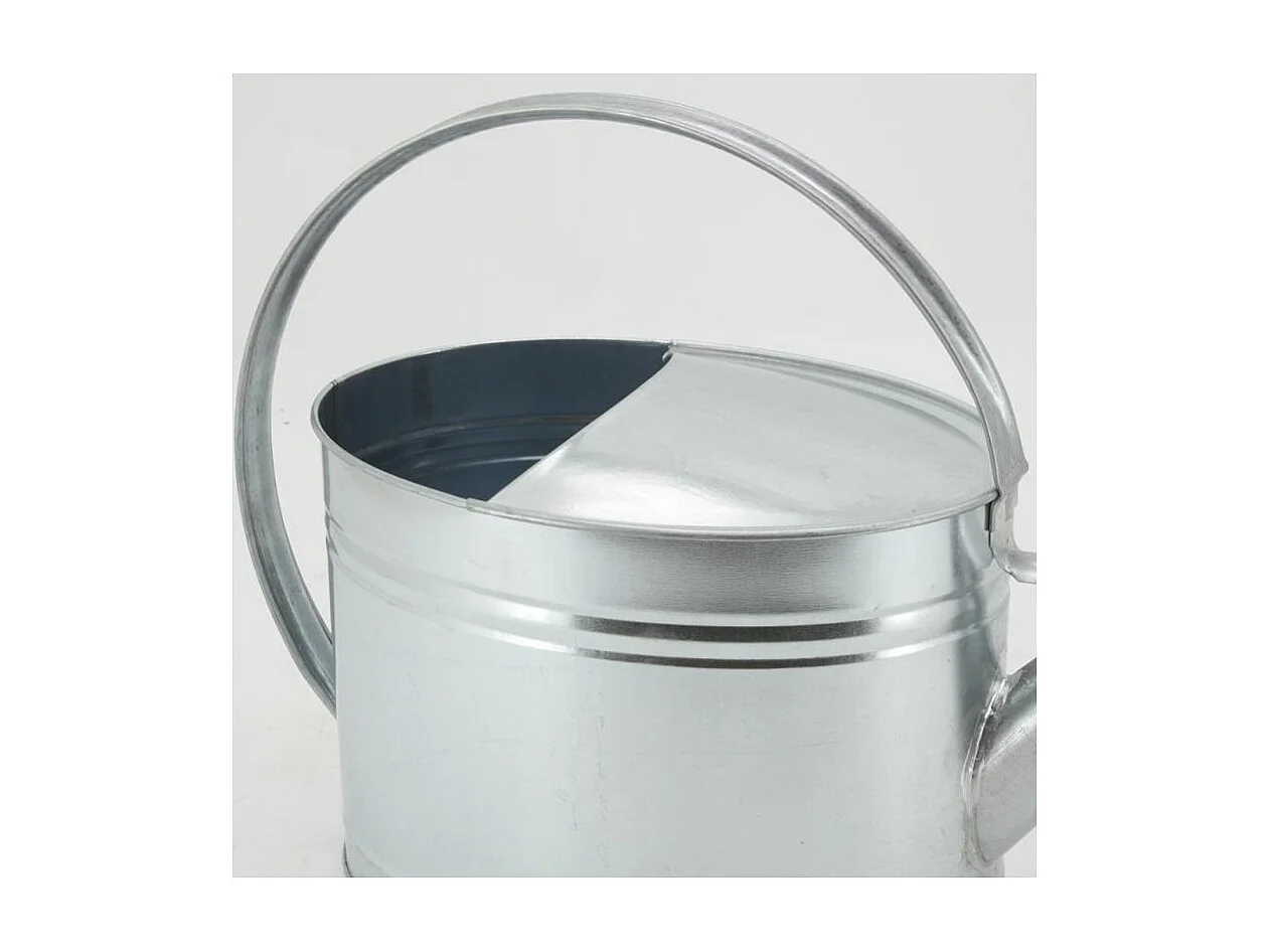 Arrosoir en métal galvanisé 10 L
