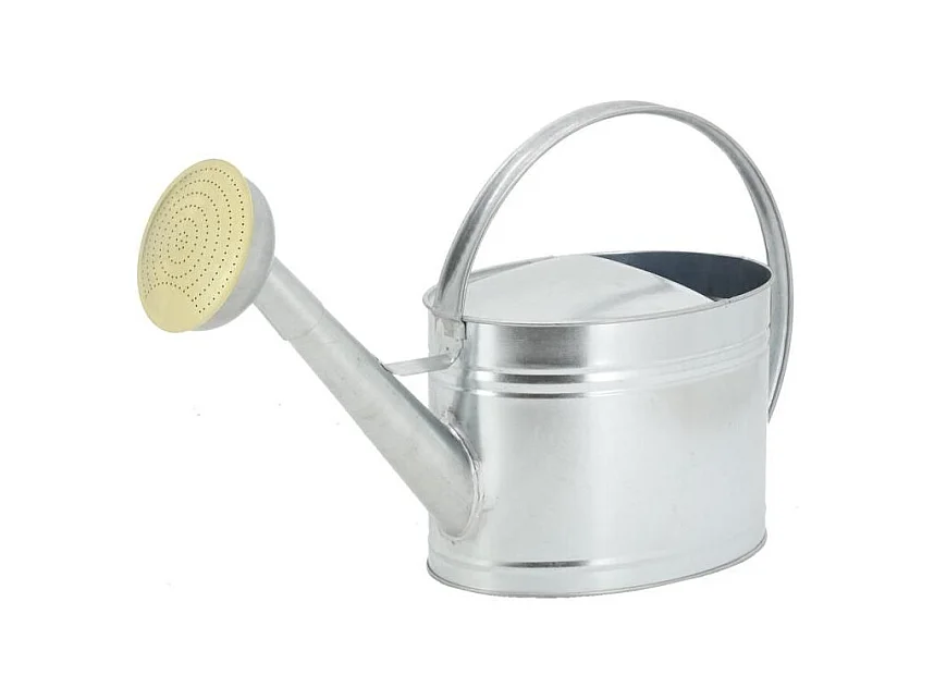 Arrosoir en métal galvanisé 10 L