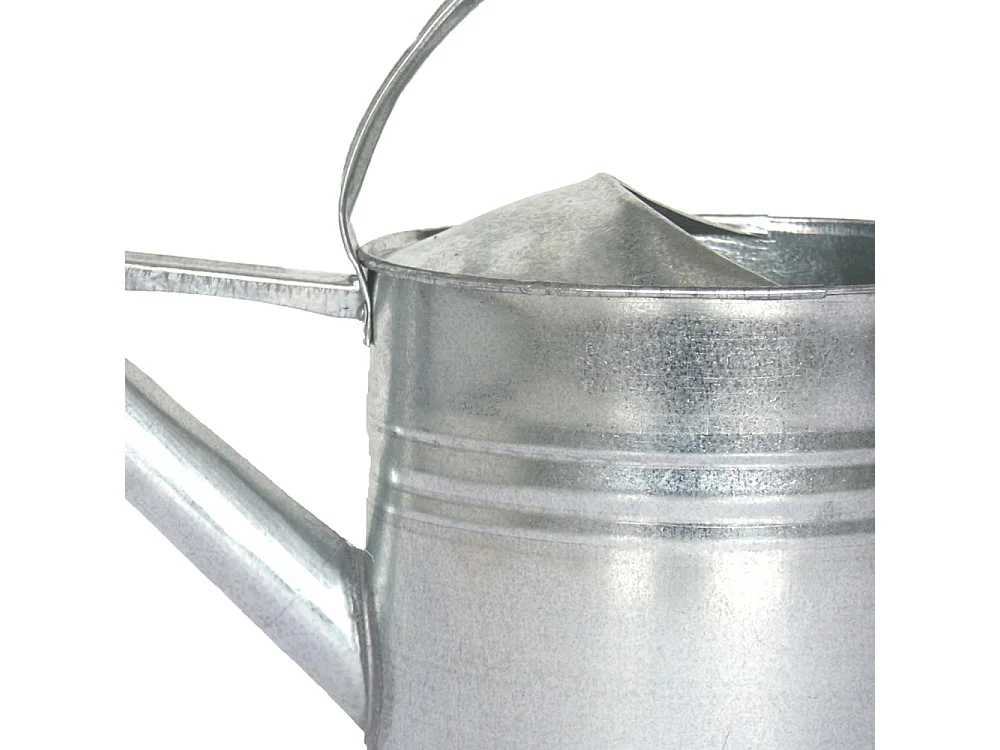 Arrosoir en zinc avec pomme d'arrosage amovible 8 litres