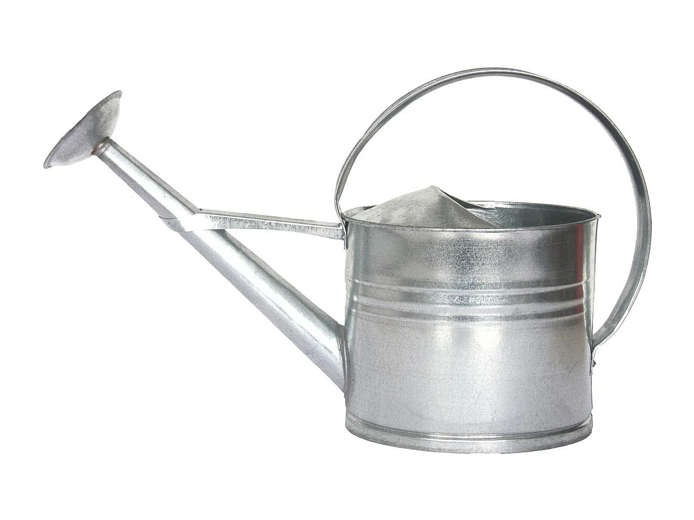 Arrosoir en zinc avec pomme d'arrosage amovible 8 litres