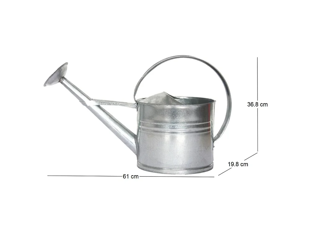 Arrosoir en zinc avec pomme d'arrosage amovible 8 litres