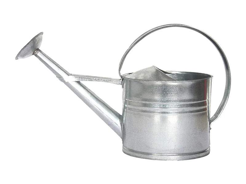 Arrosoir en zinc avec pomme d'arrosage amovible 8 litres