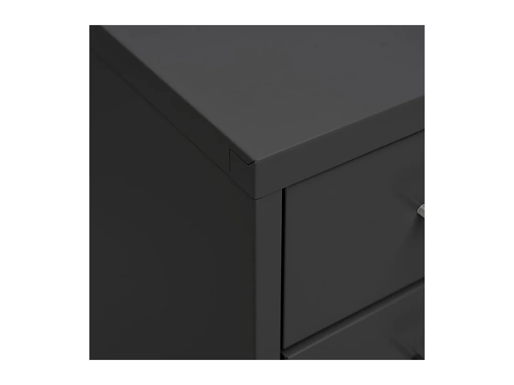 Aktenschrank mit Rollen Anthrazit 28x41x109 cm Metall