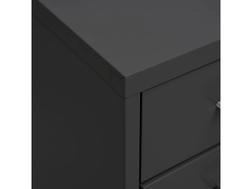 Aktenschrank mit Rollen Anthrazit 28x41x109 cm Metall