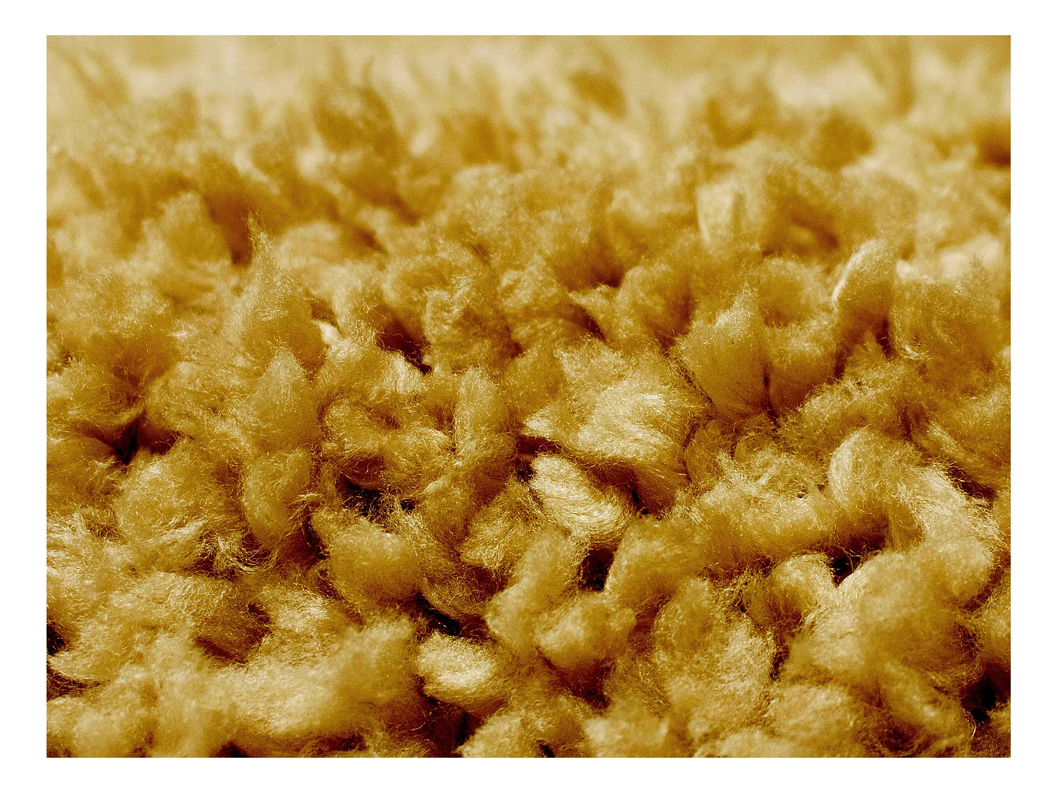 Shaggy hoogpolig tapijt - 120 x 170 cm - Mosterdgeel - MILINIO