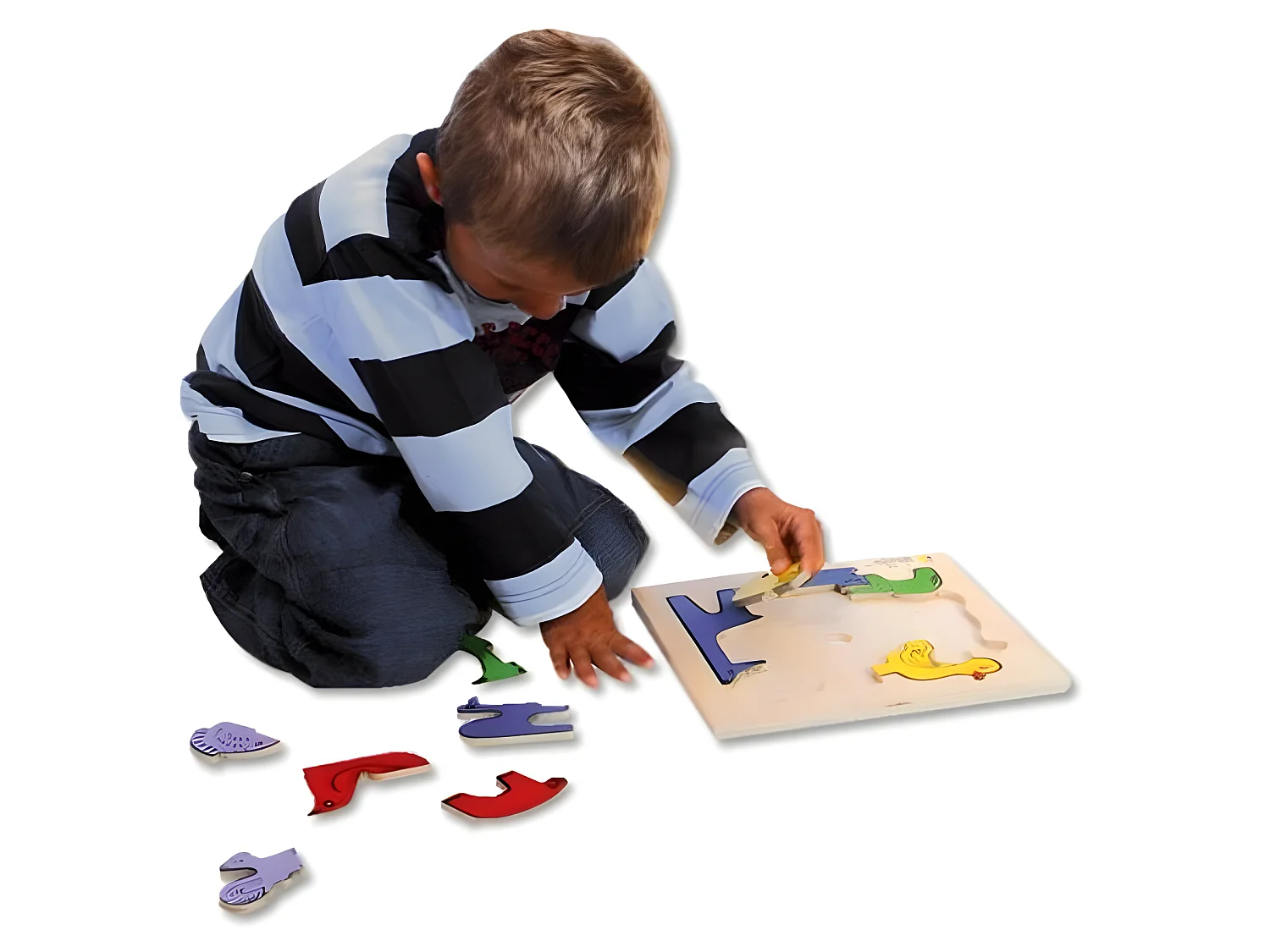 BSM Casse-tete Le Zoo