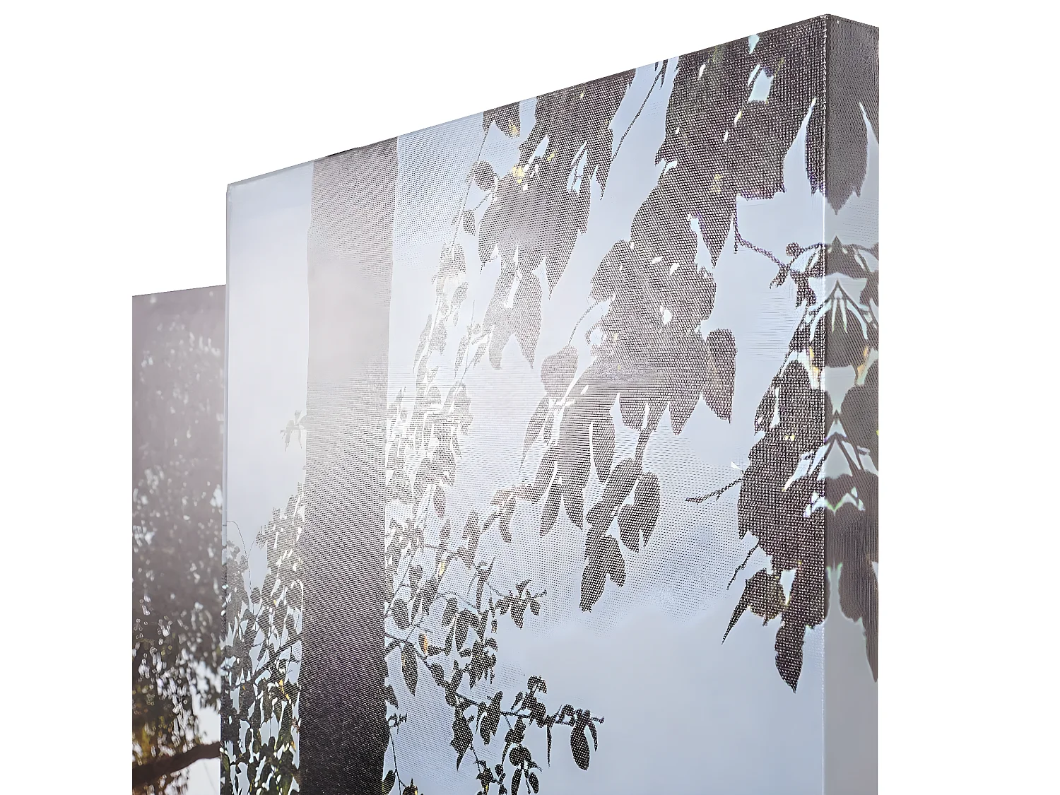 Paravent photo avec isolation phonique MCW-L55,  180x245cm Waldsee