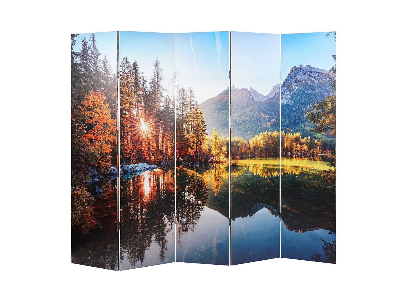 Paravent photo avec isolation phonique MCW-L55,  180x204cm Waldsee
