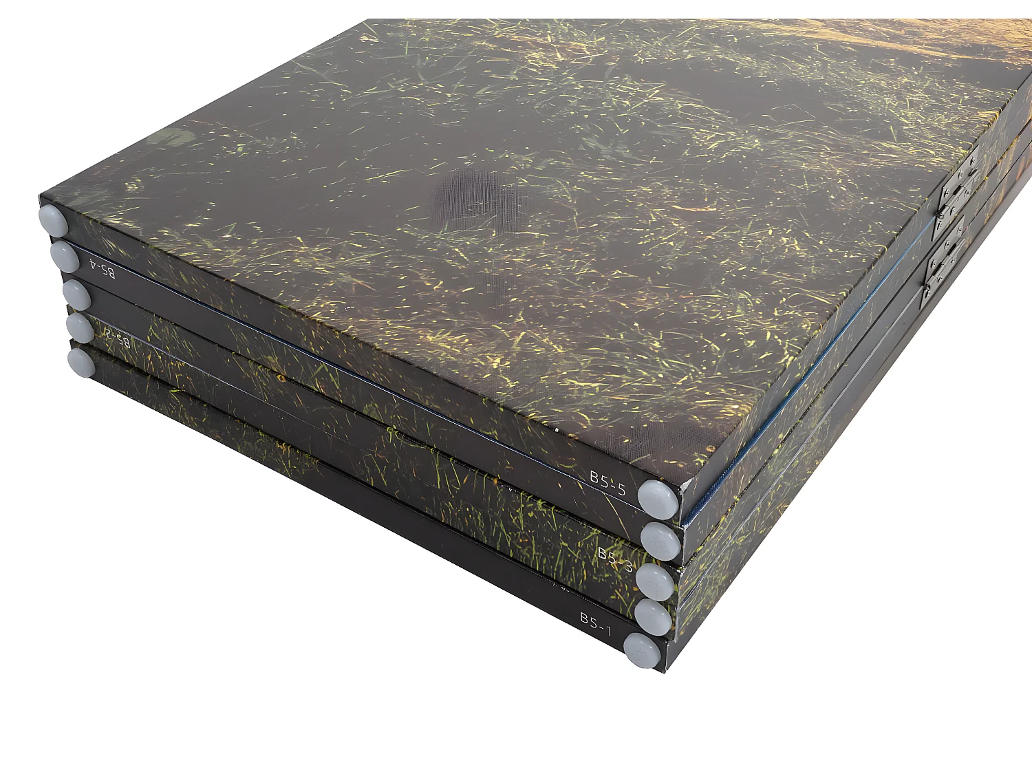 Paravent photo avec isolation phonique MCW-L55,  180x204cm Waldsee