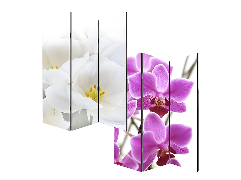 Fotopartition Bagheria,  180x120cm, orchidee