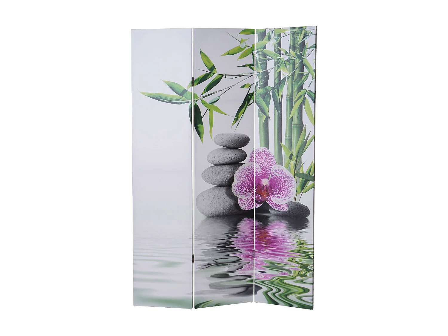 Paravent photo T234,  180x120cm